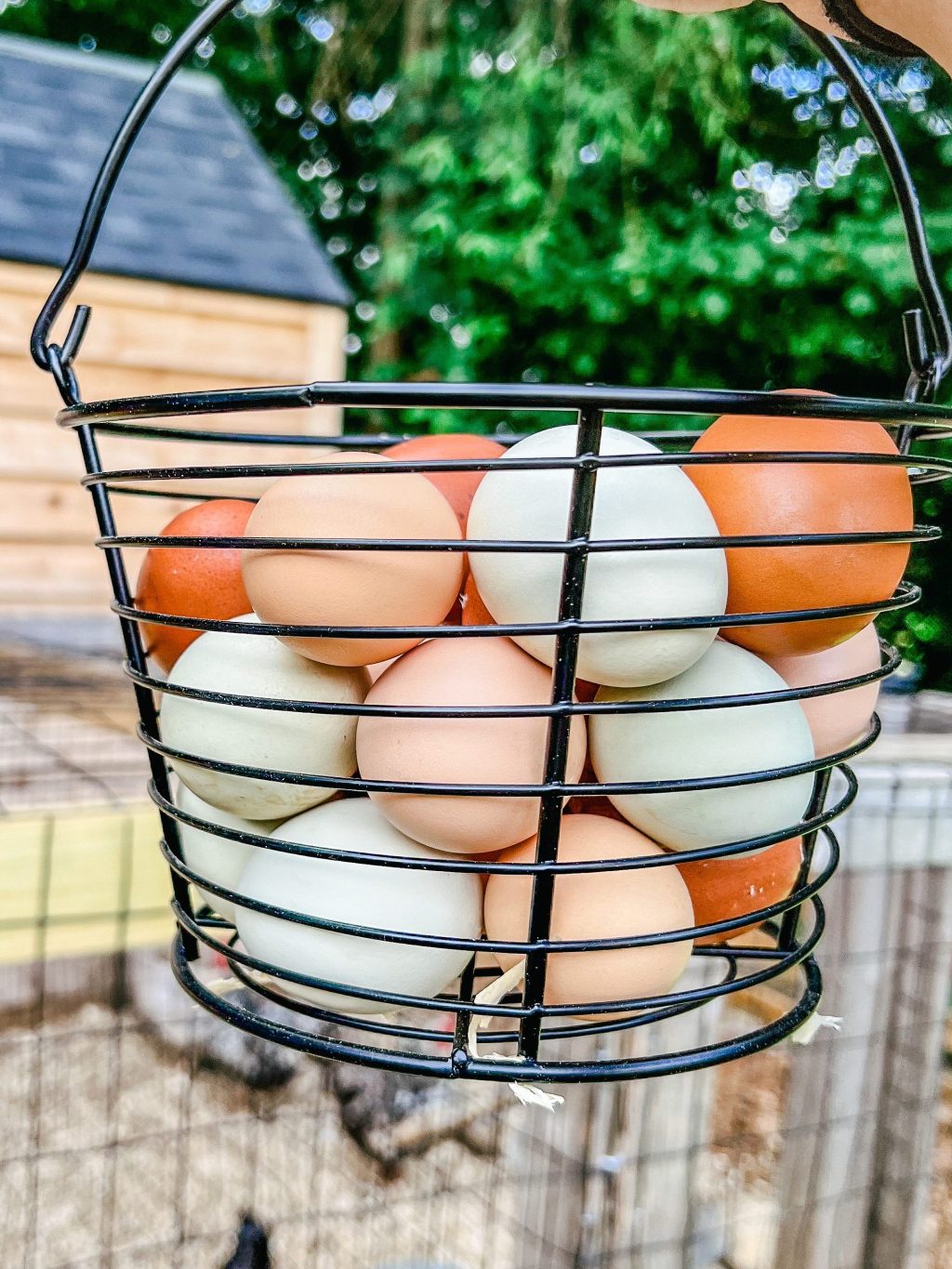 10 Ways You Can Become More Self Sustainable Without&nbsp;Land